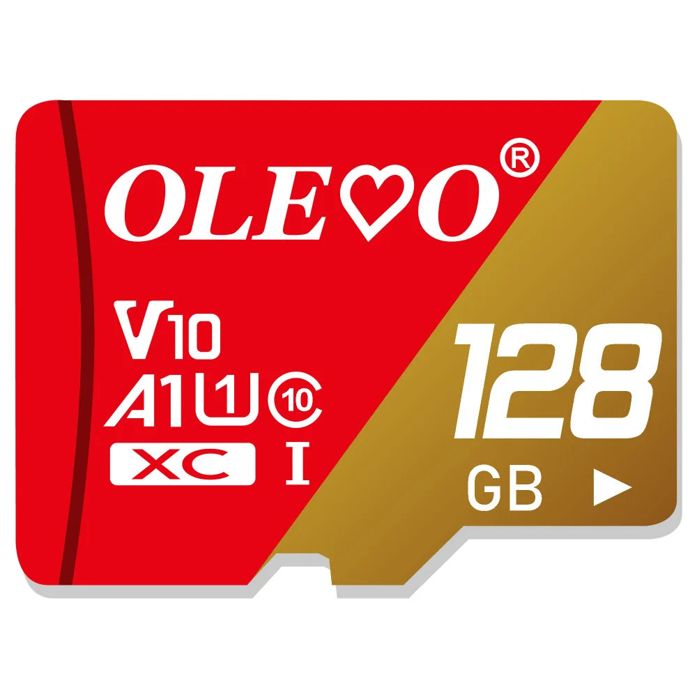 Cartão de memória microSD | Classe 10 | 4 GB a 512 GB