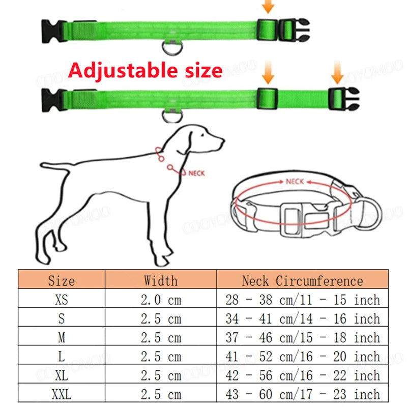 GlowCollar – Coleira LED Luminosa para Cães e Gatos, Recarregável por USB