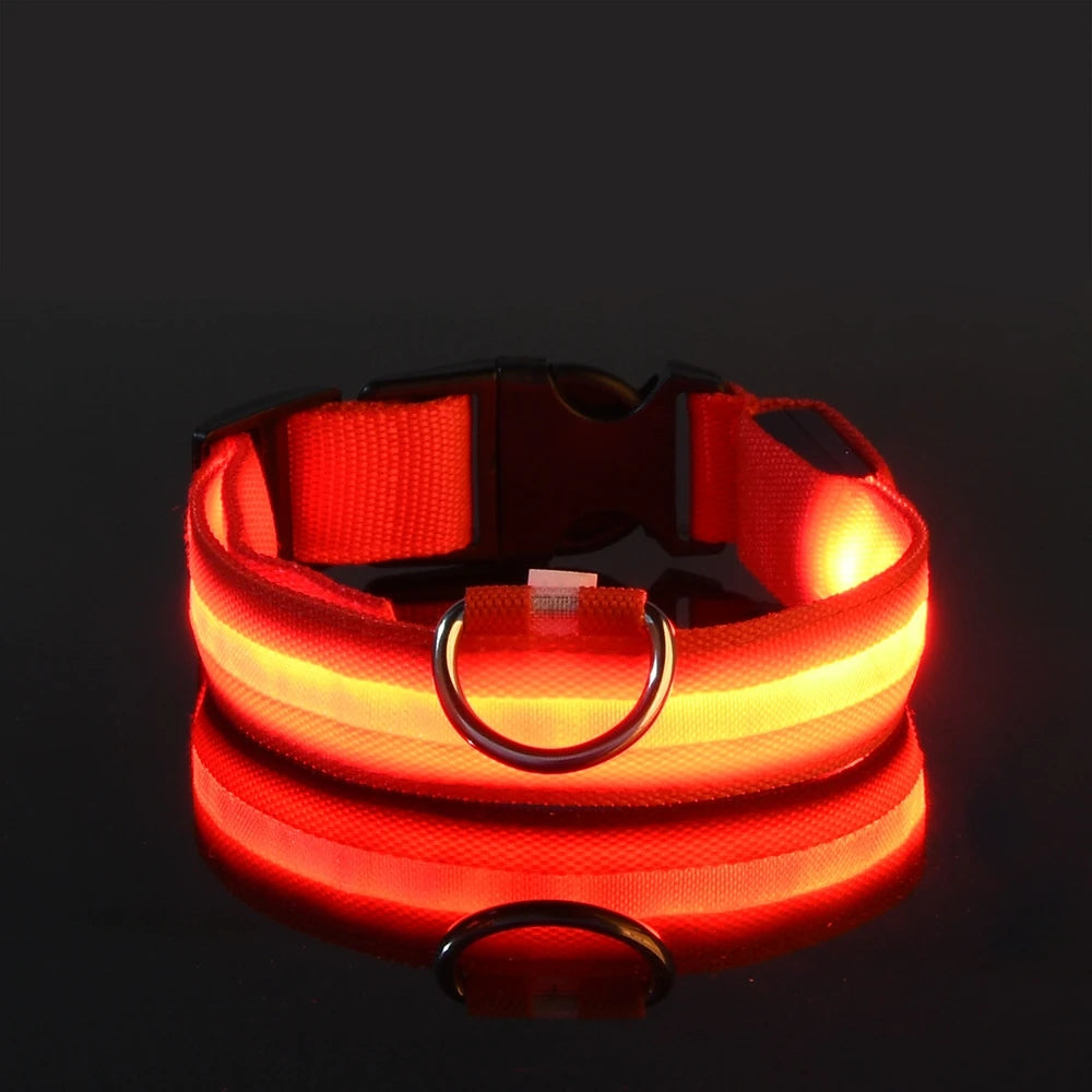 GlowLeash – Correa para perro con LED de seguridad nocturna