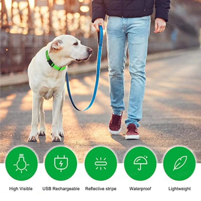 GlowCollar – Collar LED Recargable por USB para Perros y Gatos