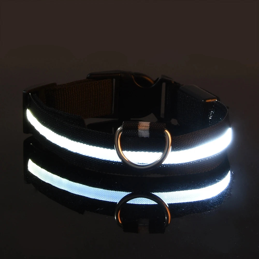 GlowLeash – Correa para perro con LED de seguridad nocturna