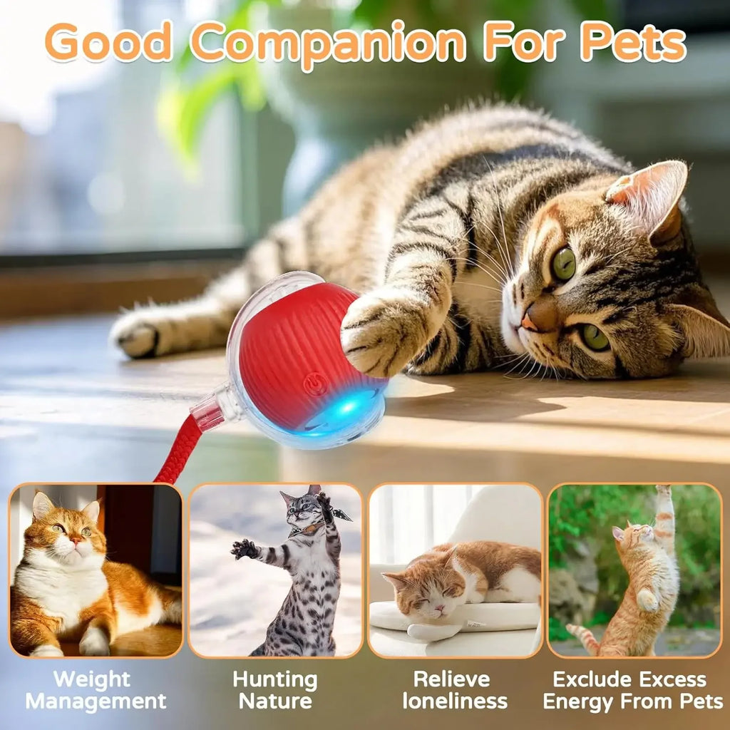 PawBall – Brinquedo Interativo Automático em Forma de Bola para Cães e Gatos
