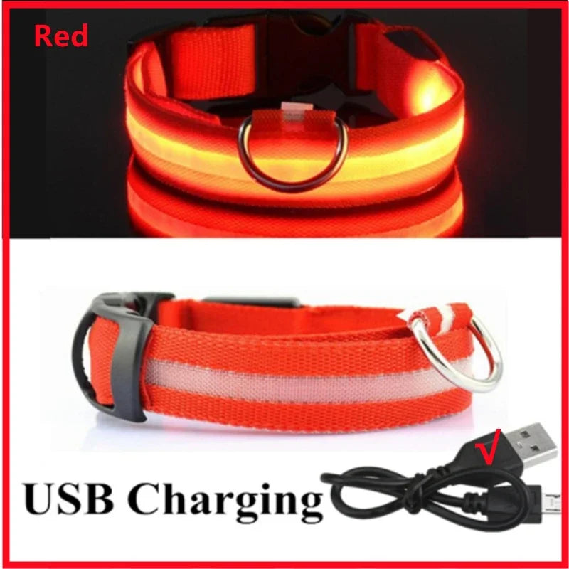 GlowCollar – Collar LED Recargable por USB para Perros y Gatos