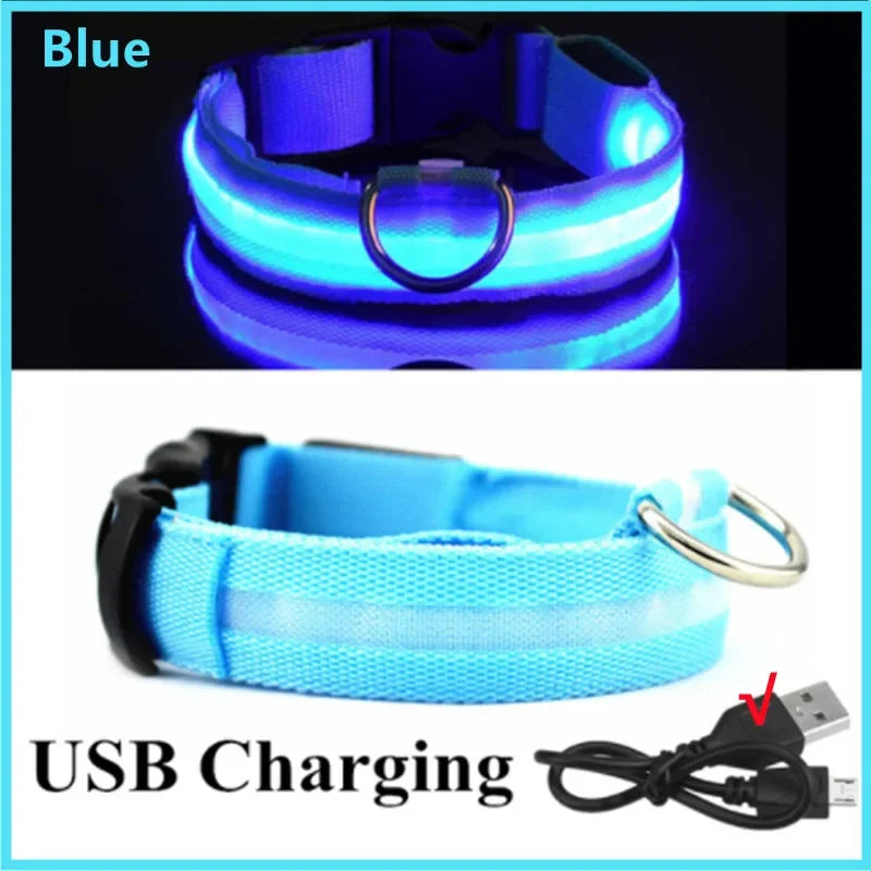 GlowCollar – Collar LED Recargable por USB para Perros y Gatos