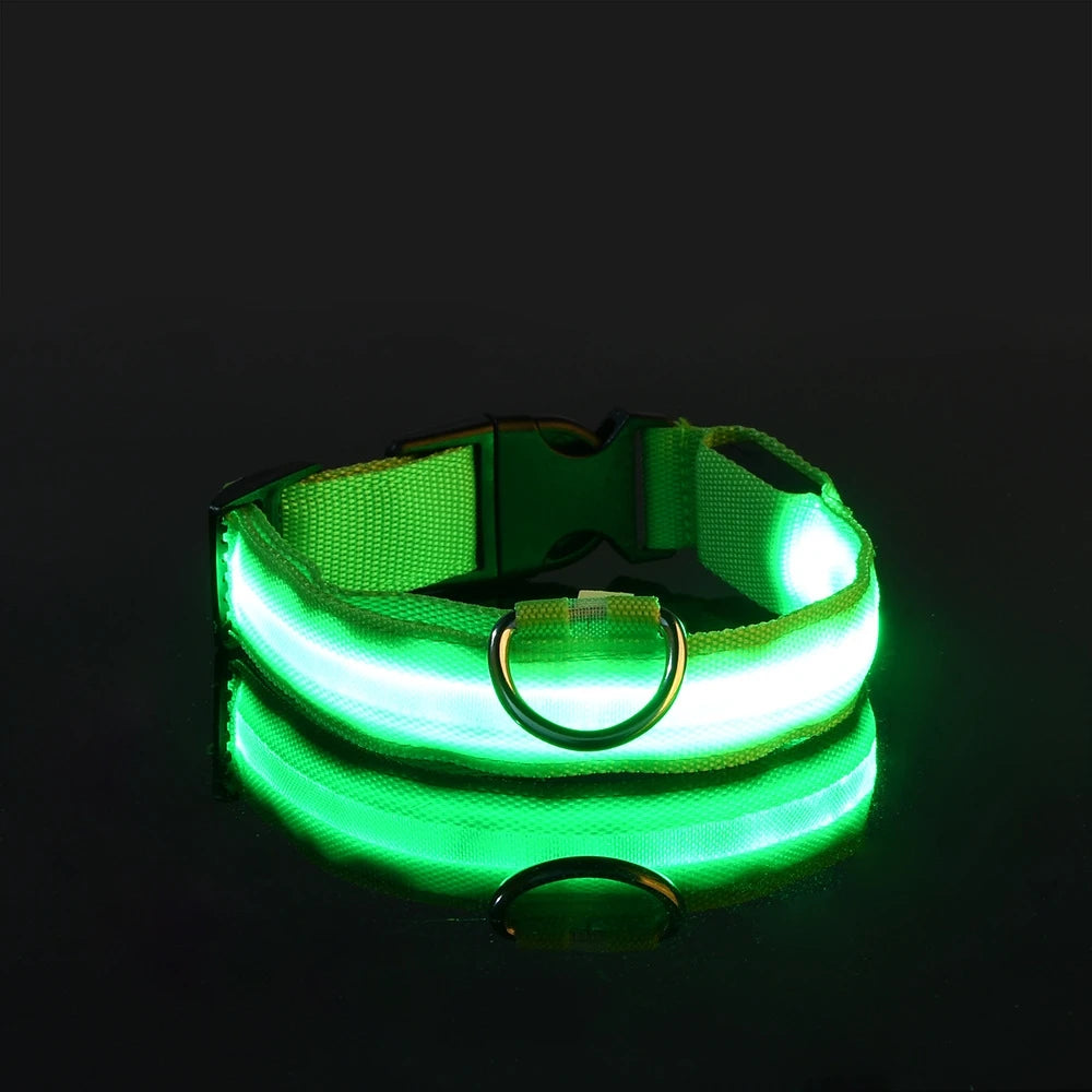 GlowLeash – Correa para perro con LED de seguridad nocturna