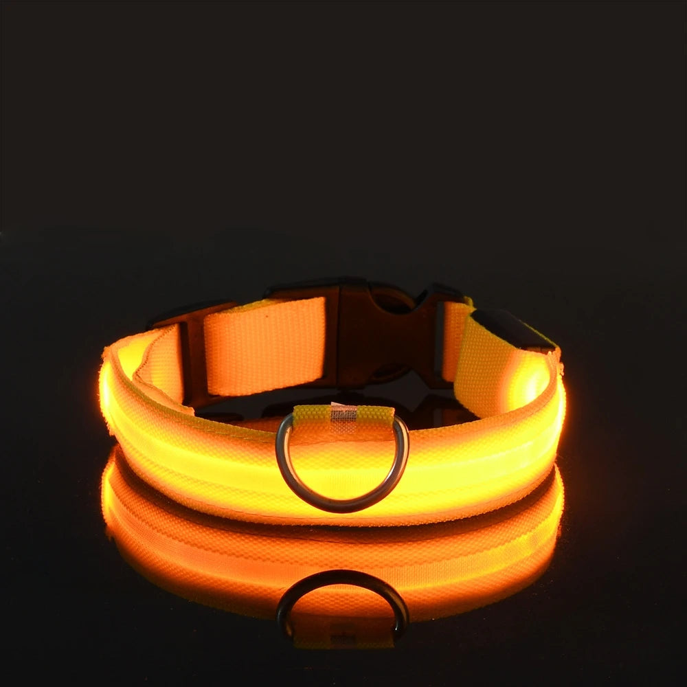 GlowLeash – Correa para perro con LED de seguridad nocturna