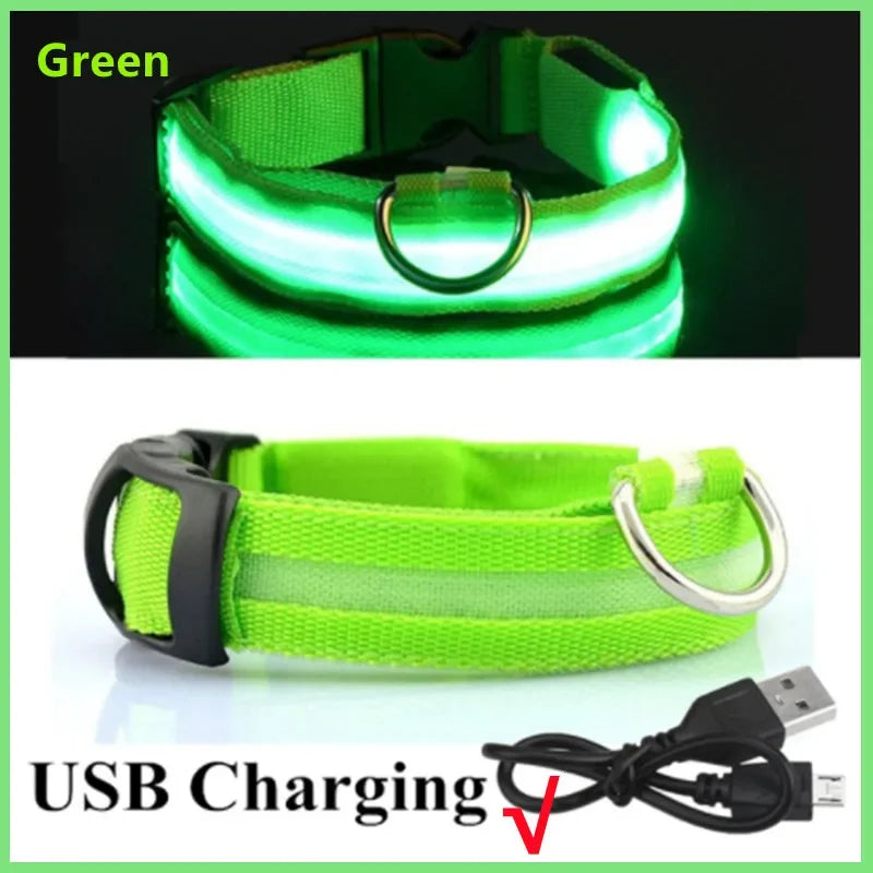 GlowCollar – Coleira LED Luminosa para Cães e Gatos, Recarregável por USB
