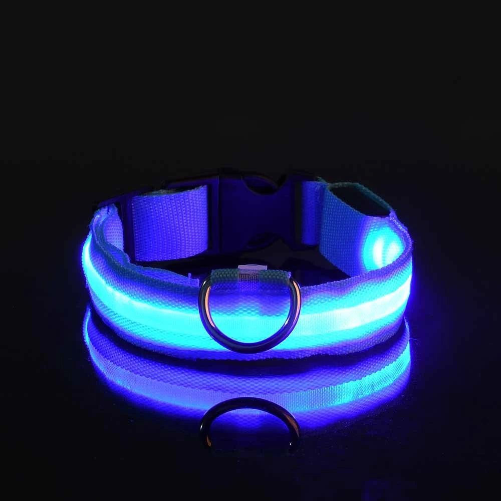 GlowLeash – Correa para perro con LED de seguridad nocturna