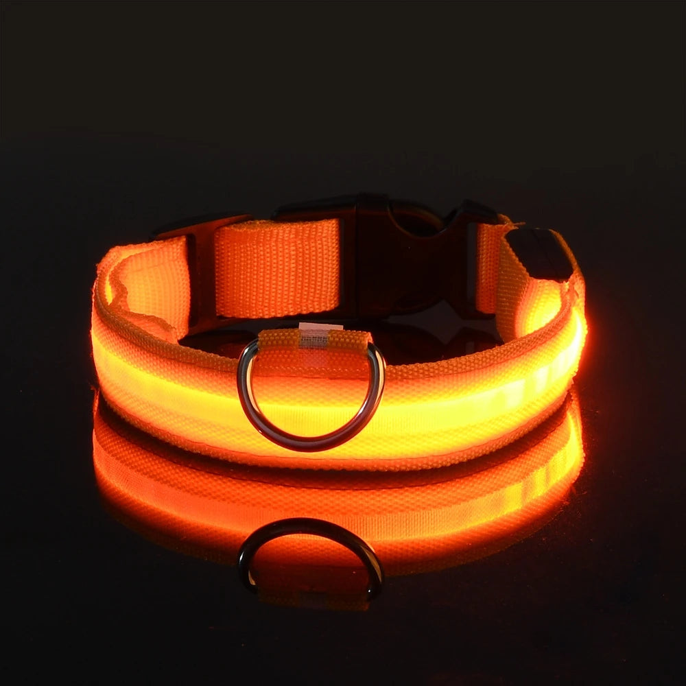 GlowLeash – Correa para perro con LED de seguridad nocturna