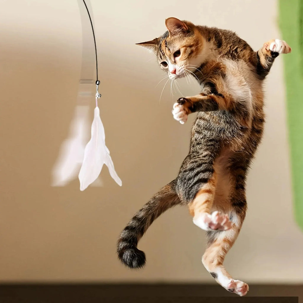 PawWand – Brinquedo Interativo de Varinha com Sino e Pena para Gatos