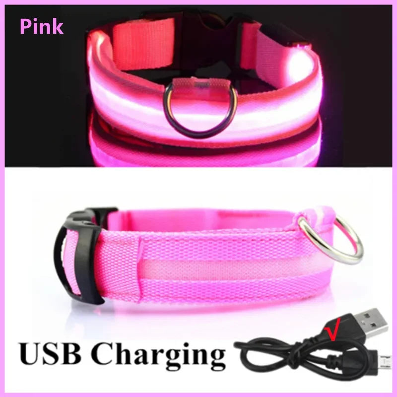 GlowCollar – Collar LED Recargable por USB para Perros y Gatos