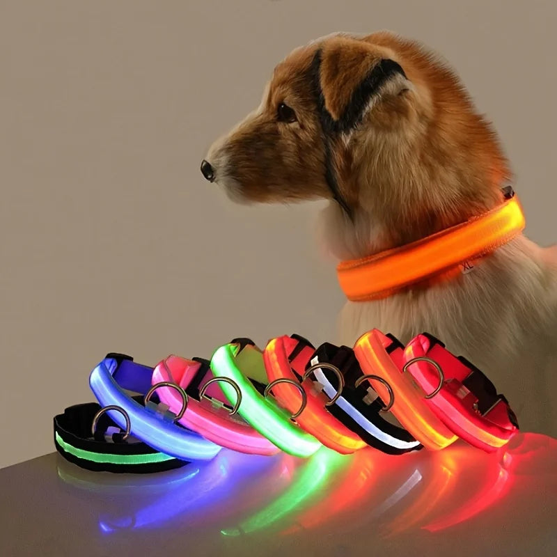 GlowLeash – Correa para perro con LED de seguridad nocturna