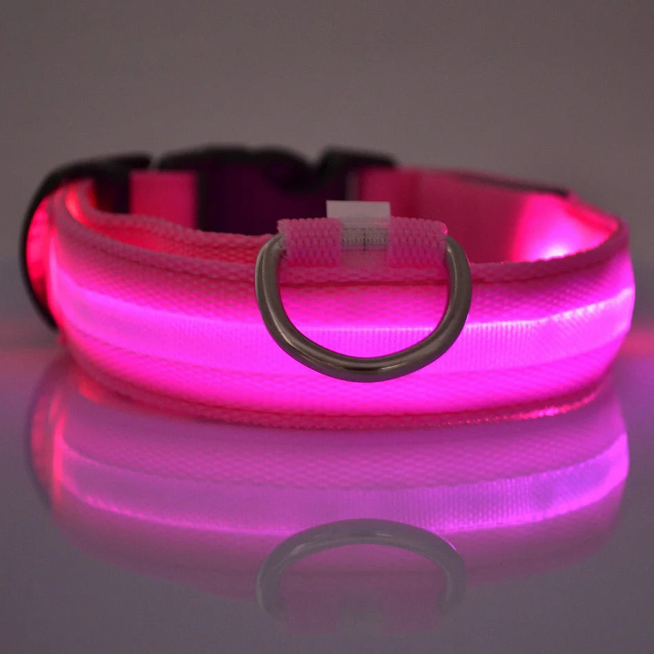 GlowLeash – Correa para perro con LED de seguridad nocturna