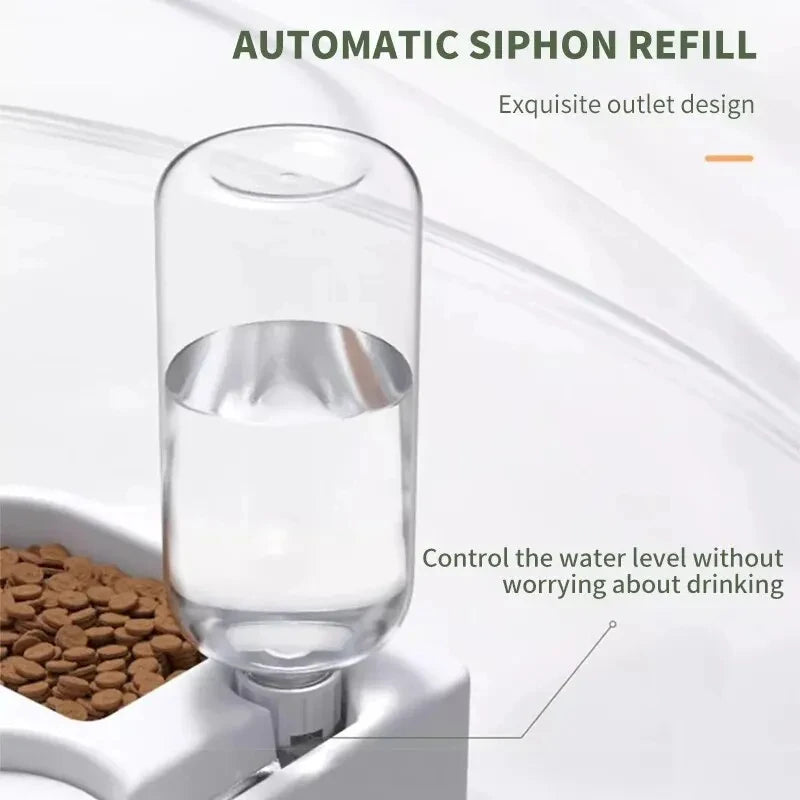 Comedero doble para gatos y perros | Cuenco doble para comida y agua con base antiderrame