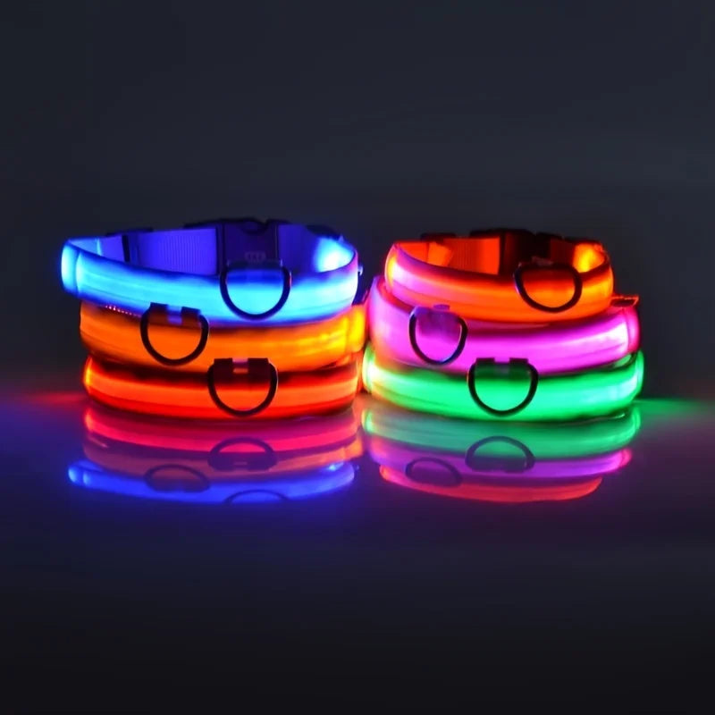 GlowLeash – Trela LED de Segurança Noturna para Cães