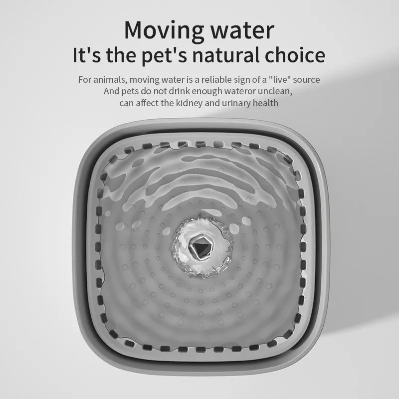 PawFountain XL – Fuente de Agua para Gatos de Gran Capacidad de 3 L