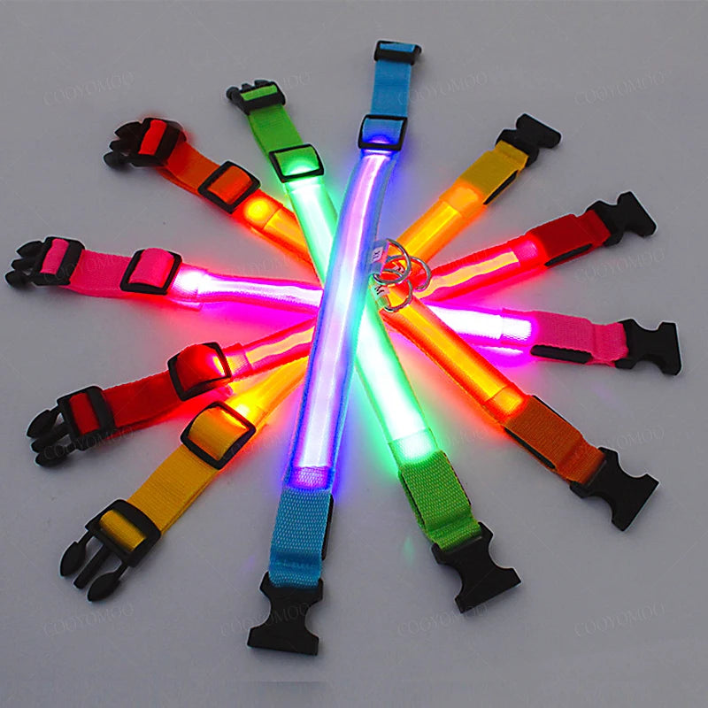 GlowCollar – Collar LED Recargable por USB para Perros y Gatos
