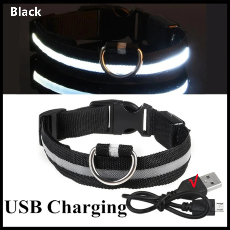 GlowCollar – Collar LED Recargable por USB para Perros y Gatos